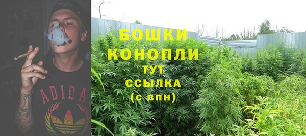 дживик Наволоки