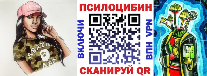 где купить наркотик  OMG   Галлюциногенные грибы прущие грибы  Псков 