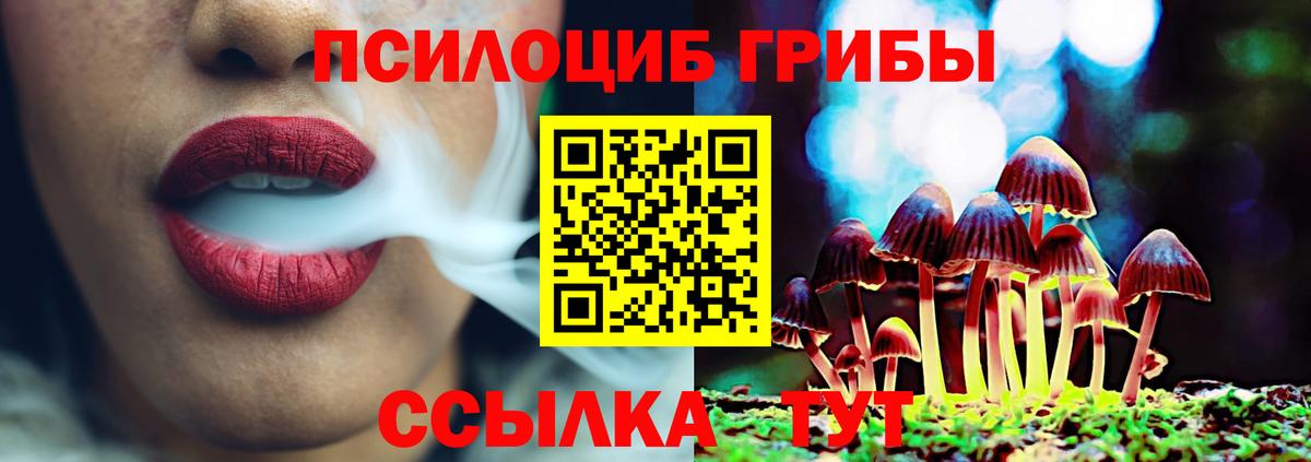 Псков  Псилоцибиновые грибы Cubensis  Псилоцибиновые грибы MAGIC MUSHROOMS  Вход с VPN 